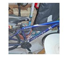 Giant捷安特腳踏車*1 - 1/1