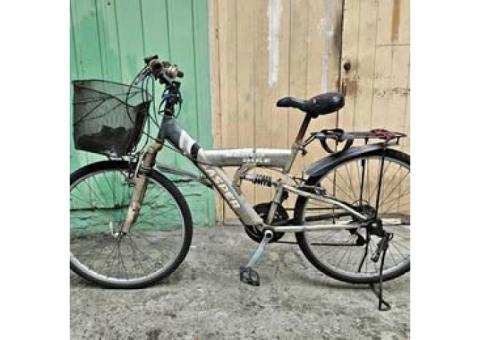 買菜腳踏車 淑女車