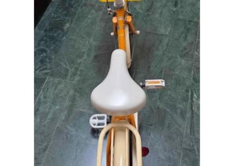 16吋兒童腳踏車