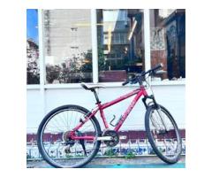 LOUIS GARNEAU 的腳踏車 。
型號是 XCCASPER。