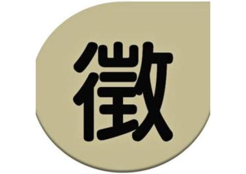 徵公路車 腳踏車