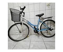 二手腳踏車 - 1/1
