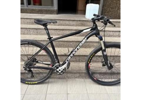 Cannondale 腳踏車 ｜ 尺寸 L