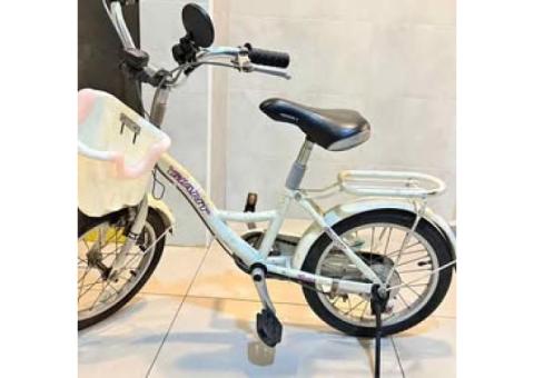 捷安特（GIANT）KJ165 16吋兒童腳踏車（二手）