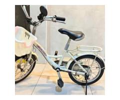 捷安特（GIANT）KJ165 16吋兒童腳踏車（二手） - 1/1