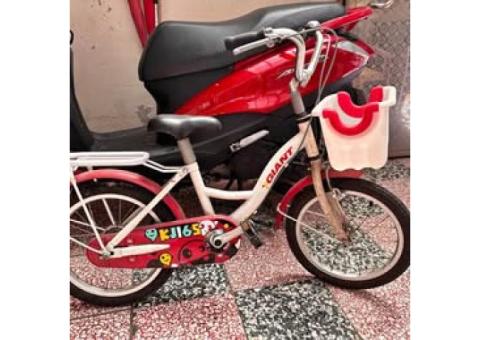 捷安特16吋腳踏車 KJ165