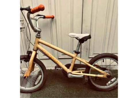 Louis Garneau

兒童腳踏車 16吋