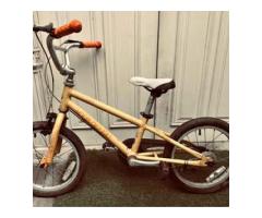 Louis Garneau

兒童腳踏車 16吋 - 1/1