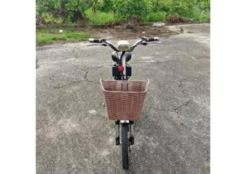 佶典 電動腳踏車..