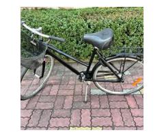 特別腳踏車 - 1/1