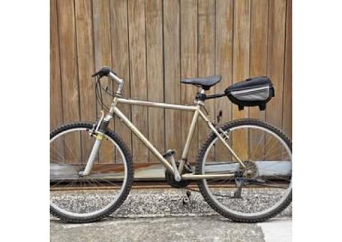 【售】GIANT/腳踏車/登山車