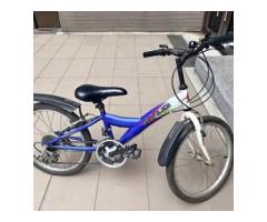 shinudi腳踏車 變速腳踏車20寸 - 1/1