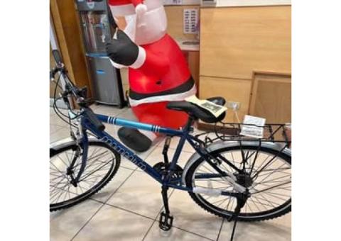 momentum 通勤腳踏車