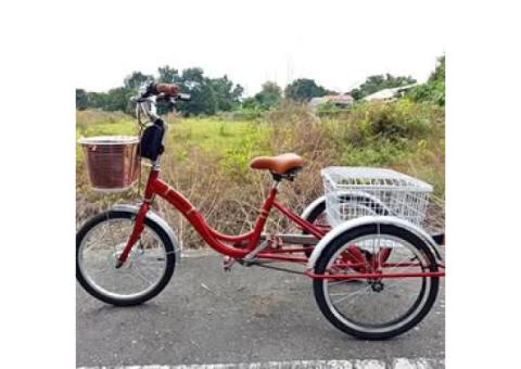 電動輔助三輪腳踏車車