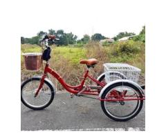 電動輔助三輪腳踏車車 - 1/1