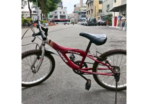 20吋兒童腳踏車 功能正常 台中市面交（外縣市可寄）