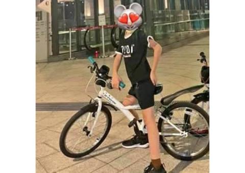 板橋（亞東）迪卡儂兒童20吋無變速腳踏車