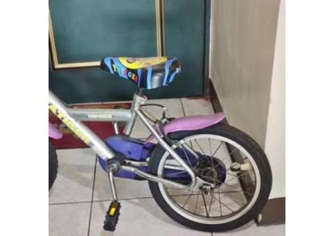 二手兒童腳踏車