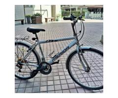 美利達 通勤車 - 1/1