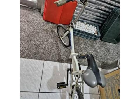 捷安特摺疊腳踏車