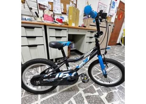 GIANT ANIMATOR 16吋 鋁合金 
捷安特16吋兒童腳踏車出售